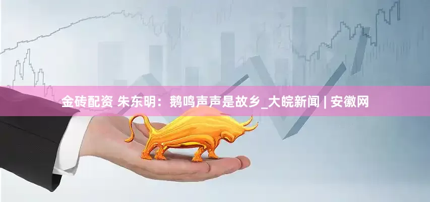 金砖配资 朱东明：鹅鸣声声是故乡_大皖新闻 | 安徽网