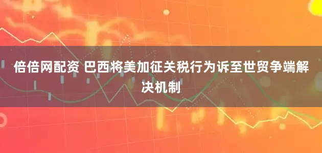 倍倍网配资 巴西将美加征关税行为诉至世贸争端解决机制