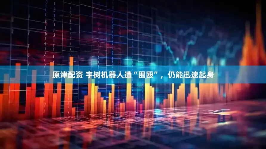 原津配资 宇树机器人遭“围殴”，仍能迅速起身