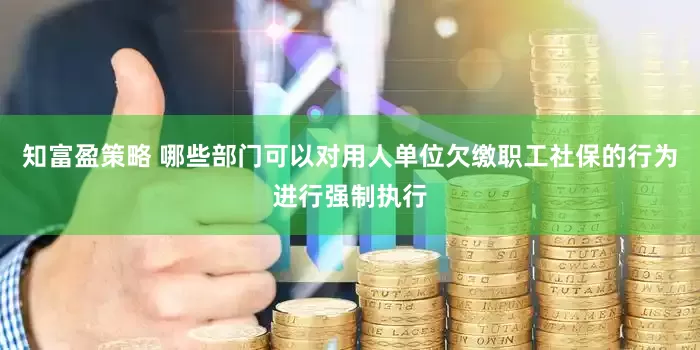 知富盈策略 哪些部门可以对用人单位欠缴职工社保的行为进行强制执行